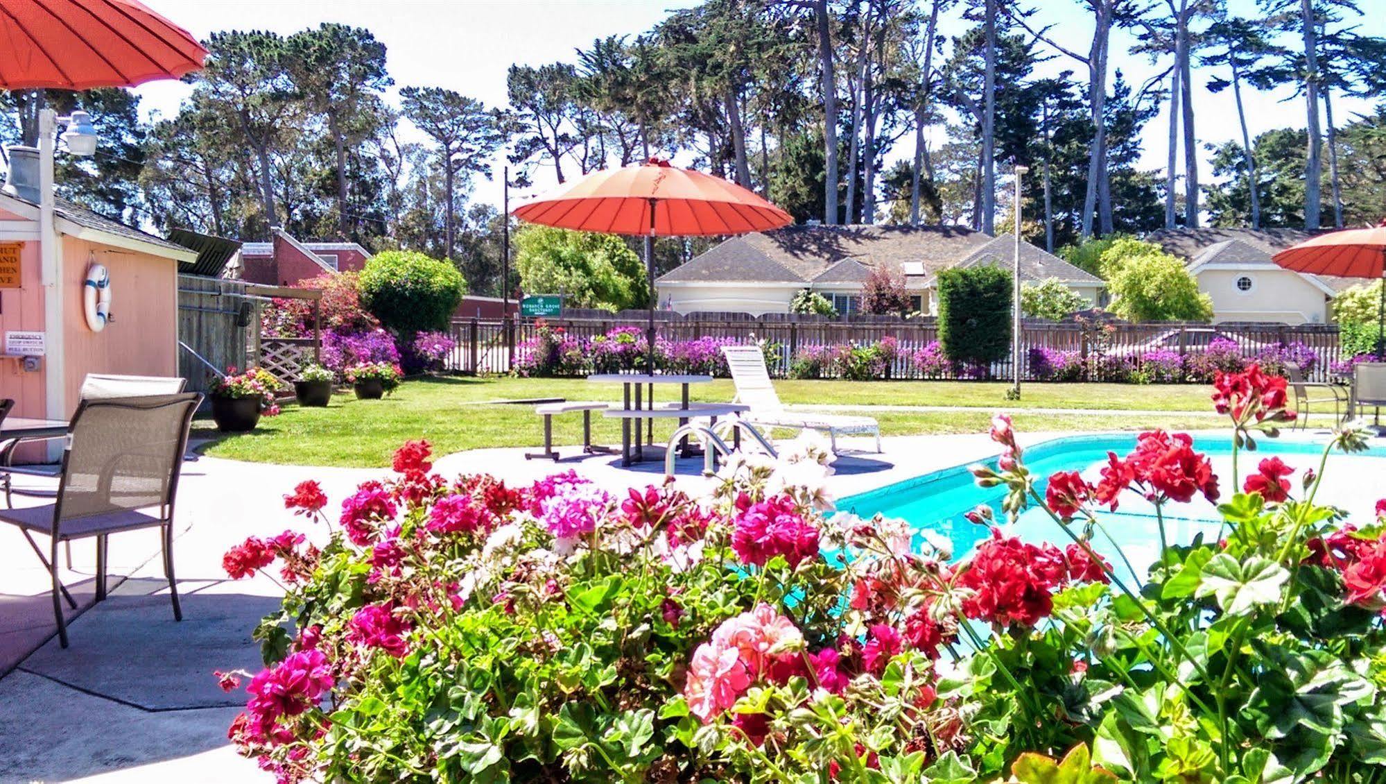 Butterfly Grove Inn Πασίφικ Γκρόουβ Εξωτερικό φωτογραφία