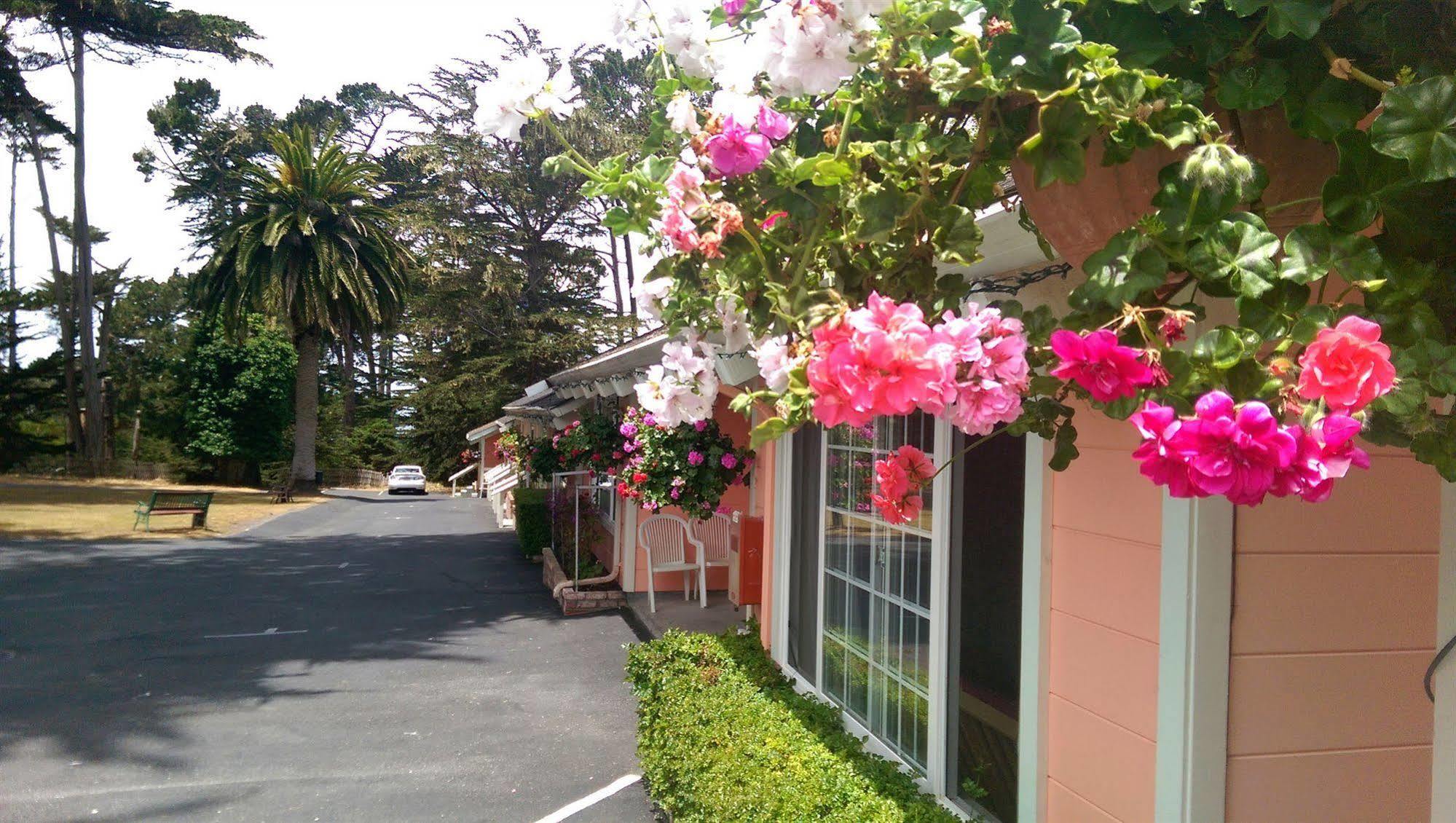 Butterfly Grove Inn Πασίφικ Γκρόουβ Εξωτερικό φωτογραφία